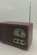 Vintage Bluetooth Retro Radio – AM/FM Analog Tuner with Built - In Speaker 2506217 - with | Sold by Uncle Wiener's Wholesale